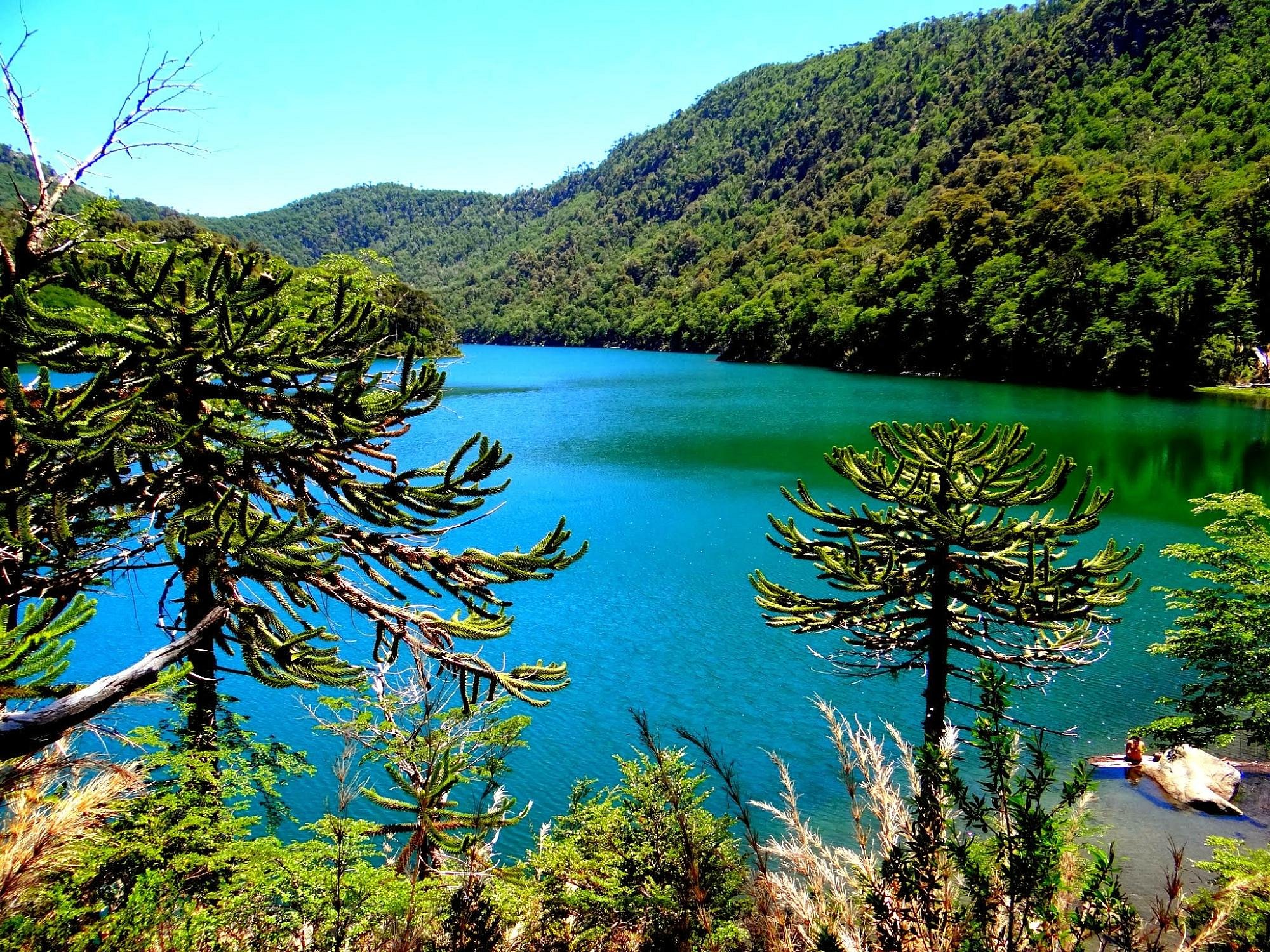 Huerquehue