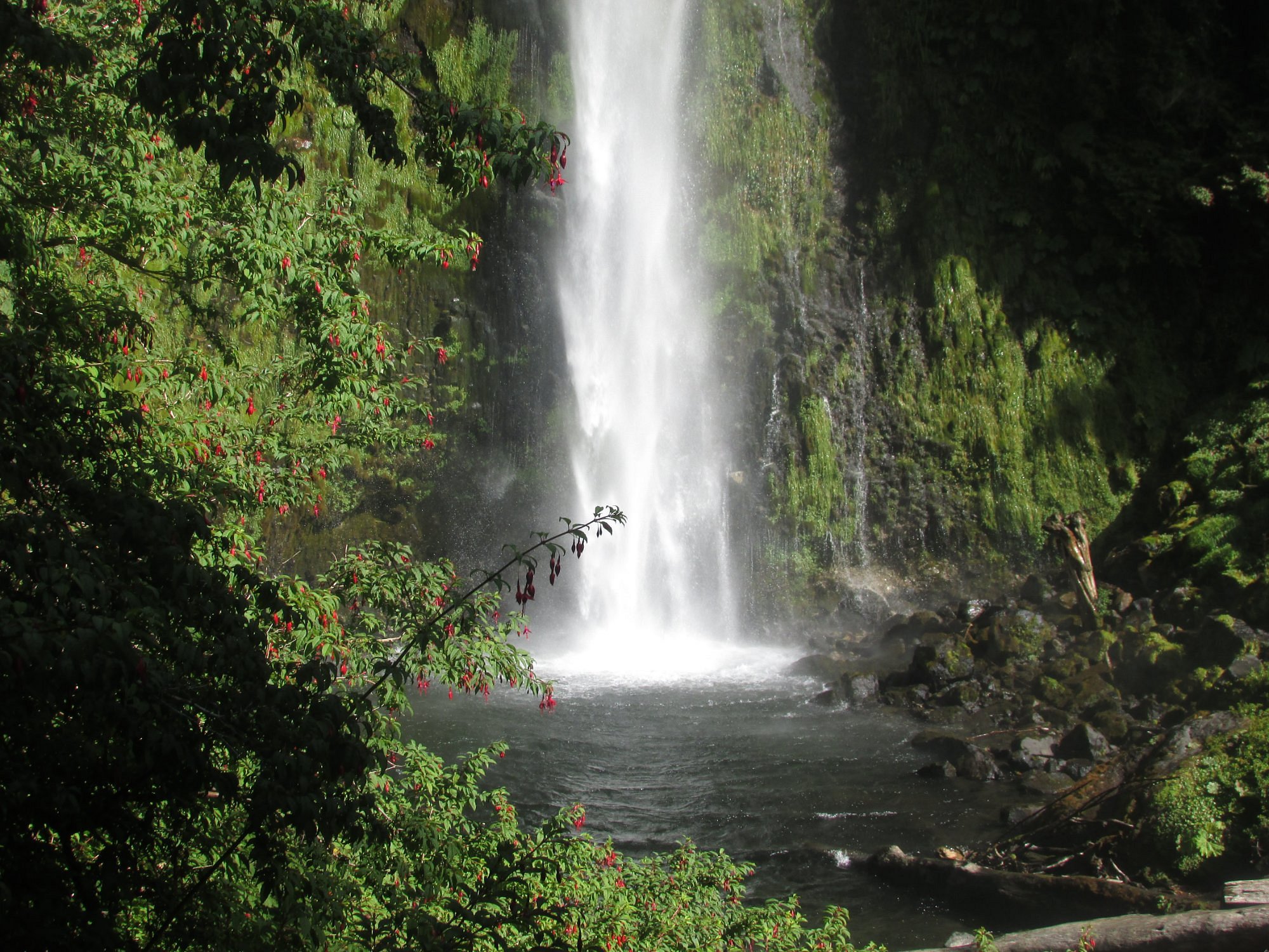 Saltos La China