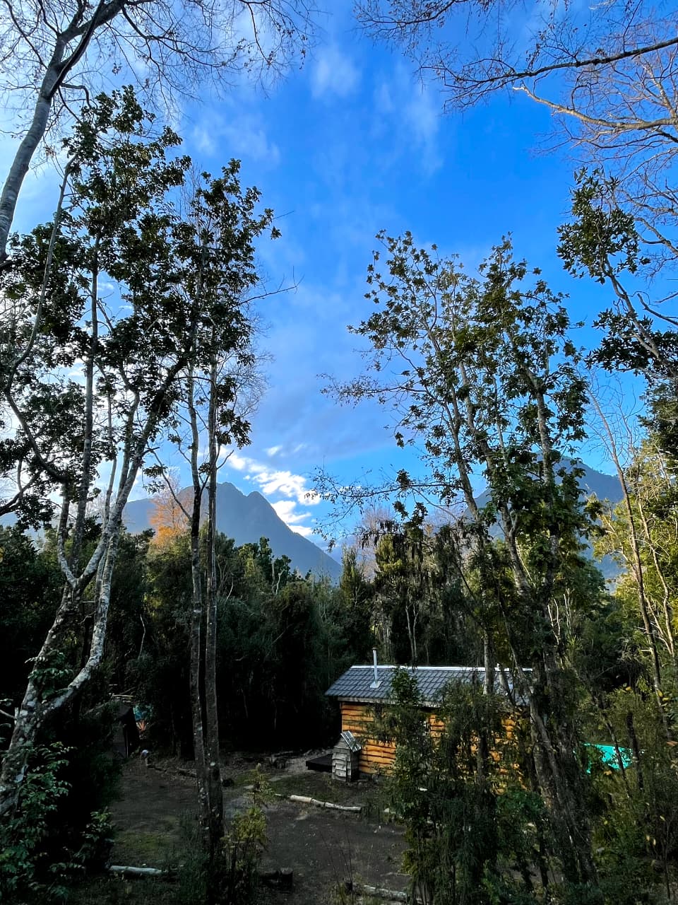 Bosque Escondido