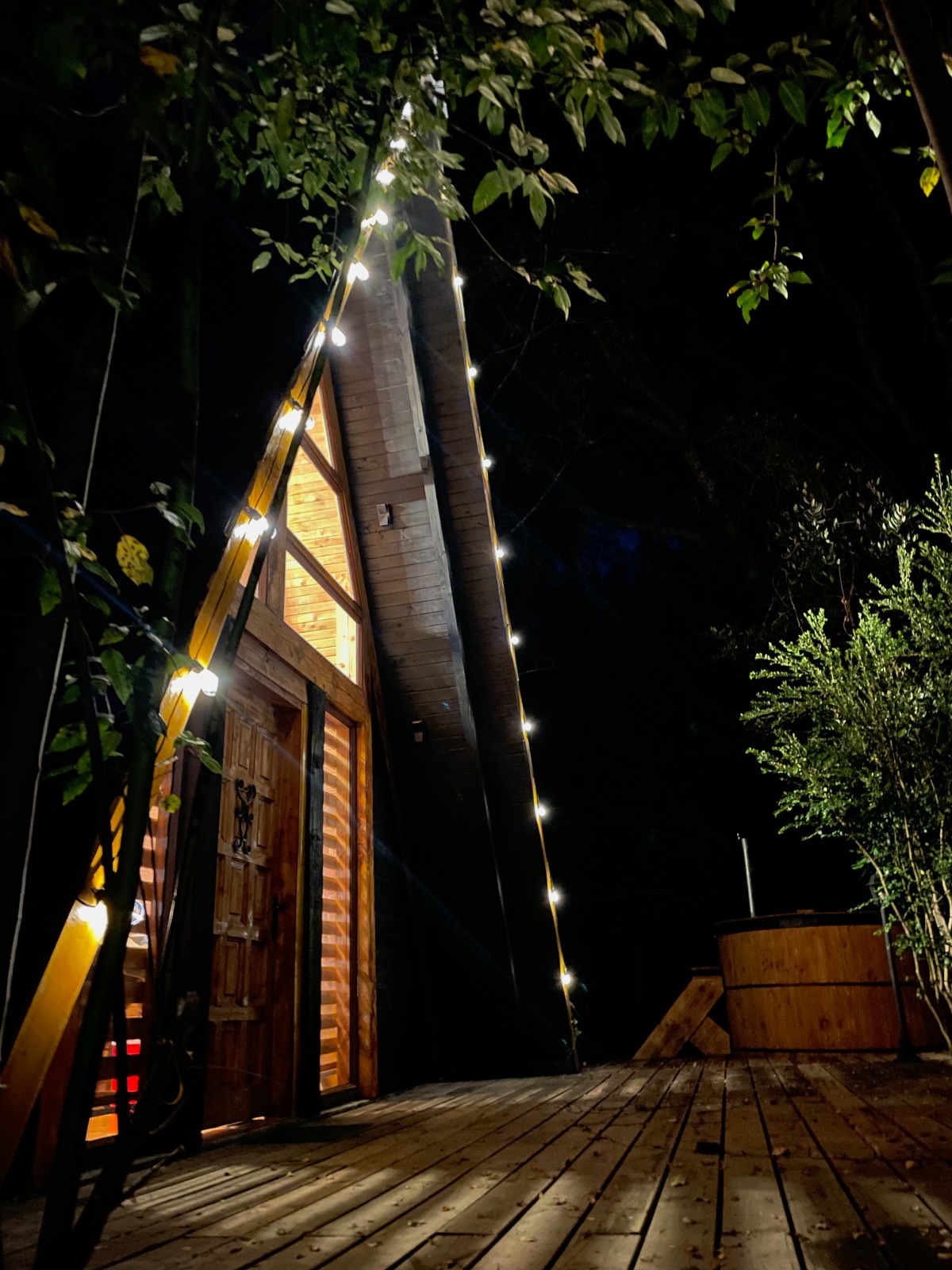 Cabaña Alerce exterior noche