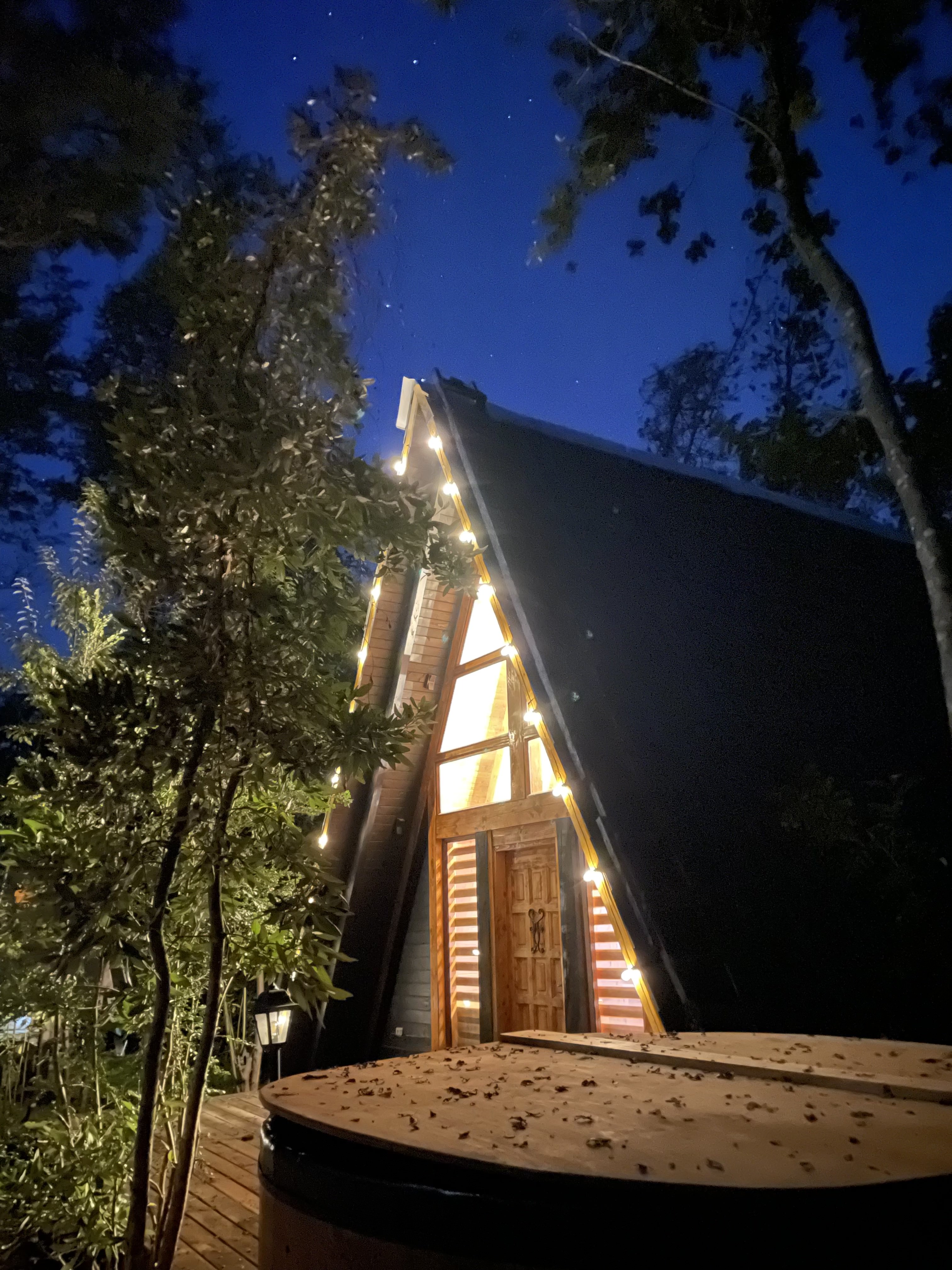 Bosque nativo Pucón
